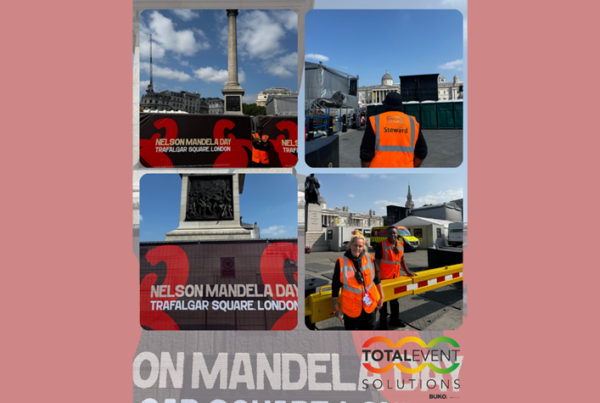 Nelson Mandela Day Collage